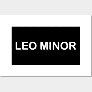 LEO MINOR Posters and Art